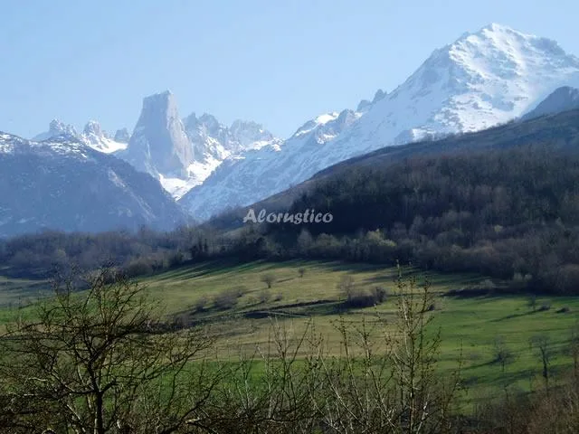 LA REGORIA - APTO 1 - PLANTA BAJA en CABRALES — miniatura 15
