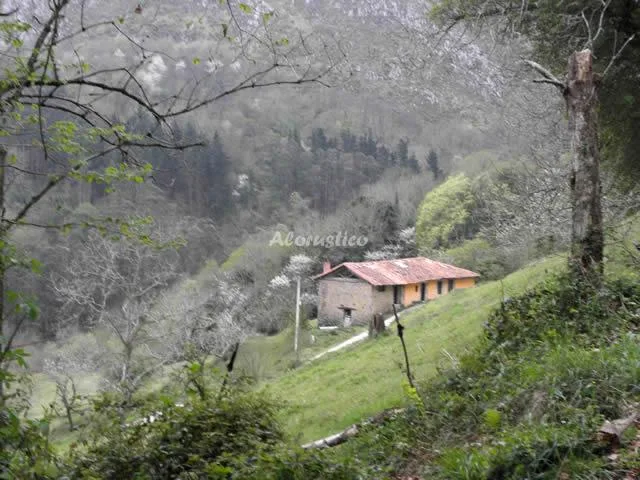 EL CASTAÑEU en ARRIONDAS — miniatura 5