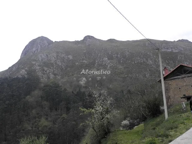 EL CASTAÑEU en ARRIONDAS — miniatura 15
