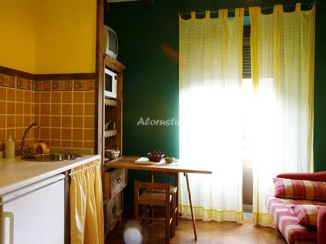 APARTAMENTO DOS AGUAS-ROJO (apto. 3) en AGUASMESTAS-SOMIEDO — miniatura 18