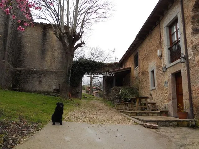 Alojamiento turístico CASA LA TEJA en ALLES · ASTURIAS
