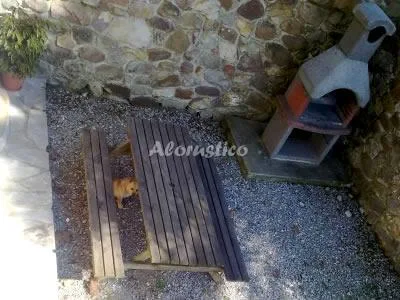 ADELA EL TUXU en CANGAS DE ONÍS — miniatura 12
