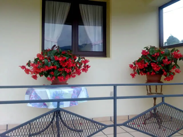 CASA CUA en SEVARES — foto 2