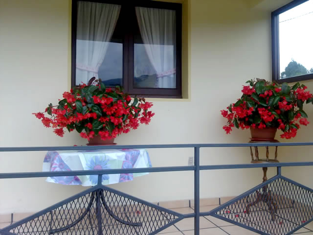 CASA CUA en SEVARES — foto 2