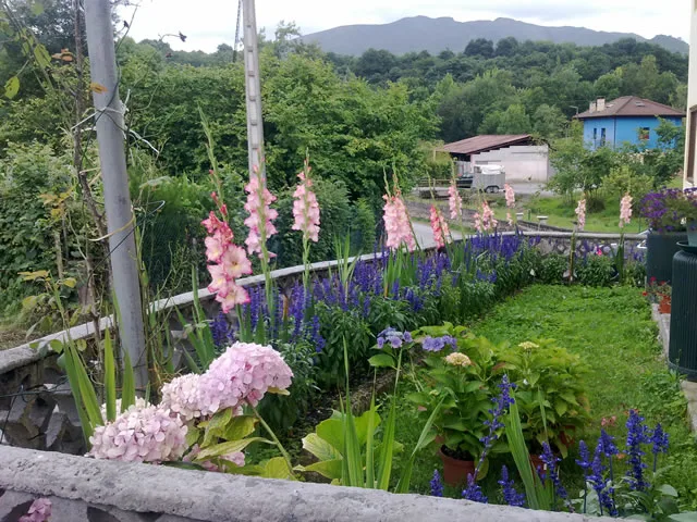 CASA CUA en SEVARES — miniatura 9