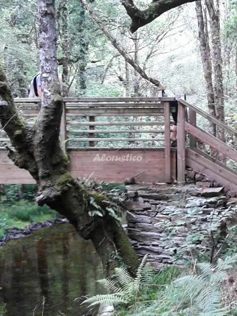 APTOS RURALES VEREDAS - APTO LA MADRIGUERA en SANTA EULALIA DE OSCOS — miniatura 10