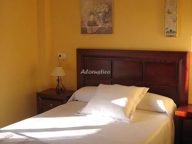 APARTAMENTOS RUTA DEL AGUA - TRIGALÍN (Planta Baja) en SOTO DEL BARCO — miniatura 13