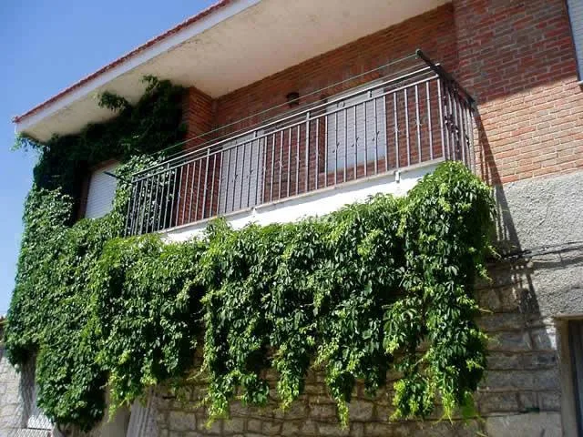 CASA RURAL EL CAÑO en MINGORRIA — miniatura 7