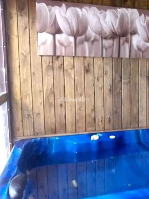 CASA ANTONIO en MARTIHERRERO — miniatura 6