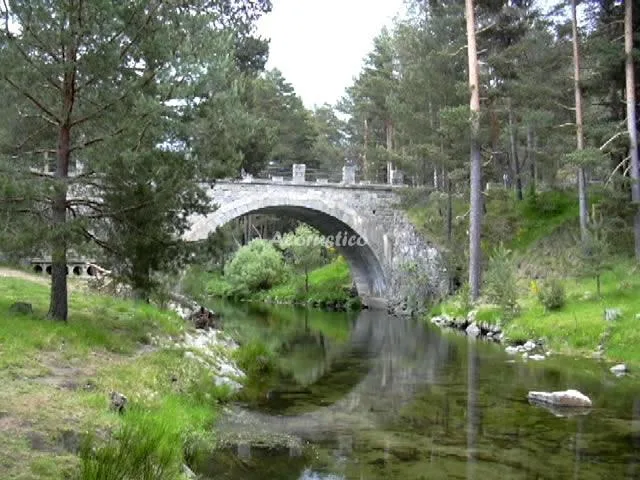 LOS NAVAZUELOS en HOYOS DEL ESPINO — miniatura 7