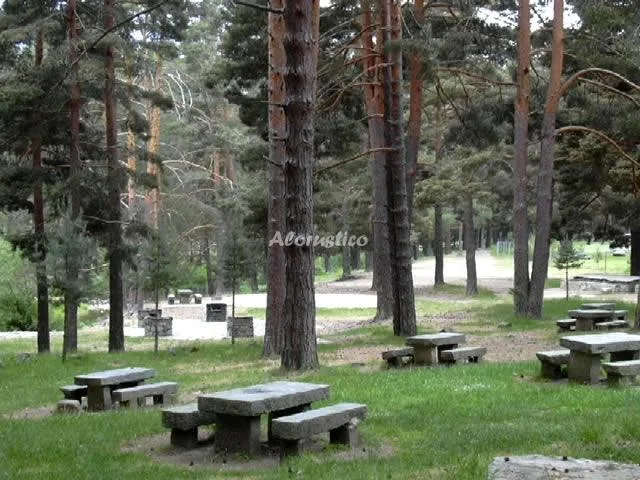 LOS NAVAZUELOS en HOYOS DEL ESPINO — miniatura 13