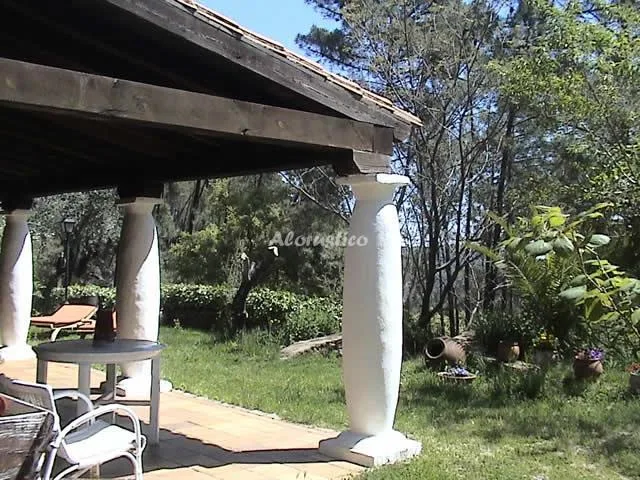 HUERTA LOS CASTAÑOS en MONESTERIO — miniatura 4