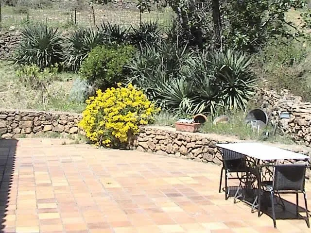 HUERTA LOS CASTAÑOS en MONESTERIO — miniatura 11