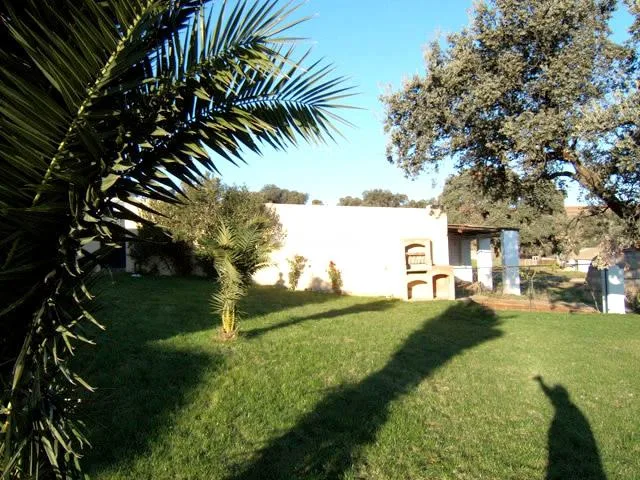 CASA JARA en CAMPANARIO — miniatura 5