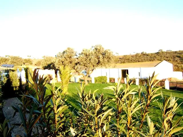 CASA JARA en CAMPANARIO — miniatura 17