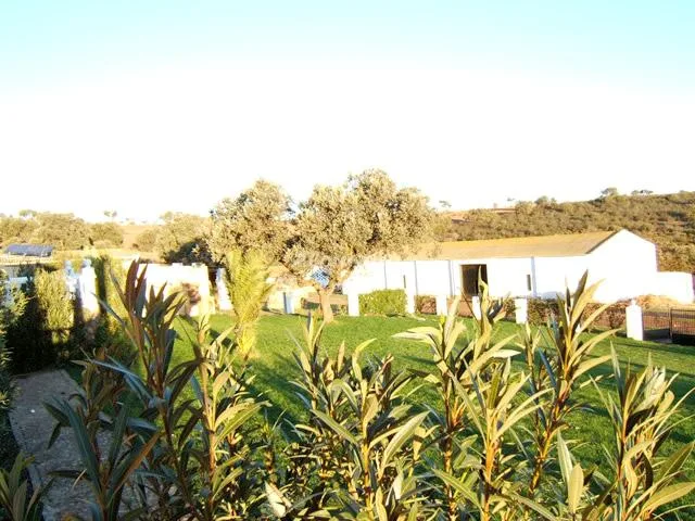 CASA SERENA en CAMPANARIO — miniatura 17