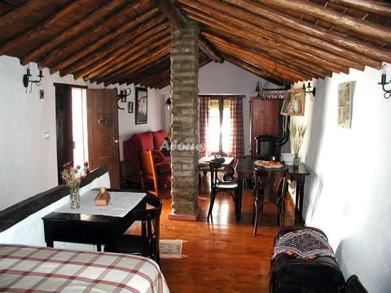 CASA VICTORIA - HORNO en VILLALUENGA DEL ROSARIO — foto 3