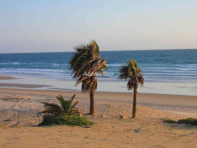 CASA TATI en CONIL DE LA FRONTERA — foto principal