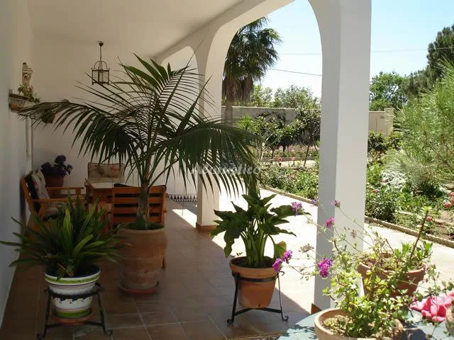 VILLA CHANO en CONIL DE LA FRONTERA — miniatura 17