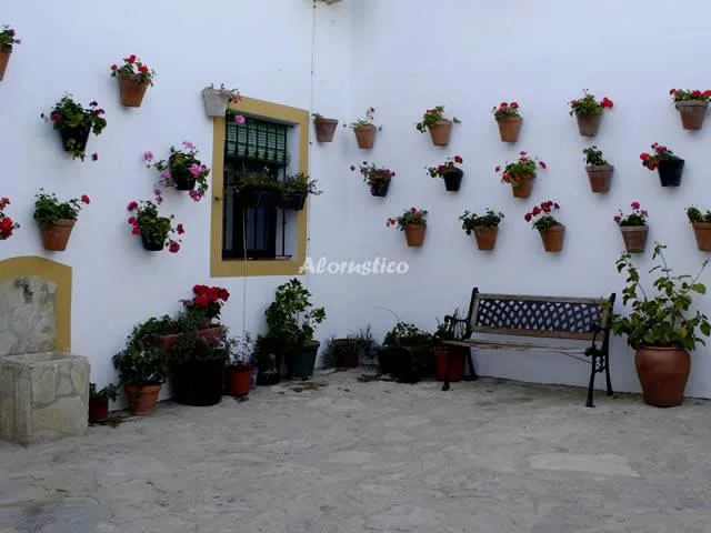 HACIENDA BARRERAS -- CASA MAYOR en PRADO DEL REY — miniatura 16