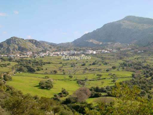 Alojamiento turístico ALOJAMIENTO LOS ALMENDROS 1 en BENAOCAZ, CÁDIZ
