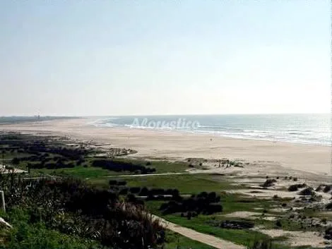 CASA LA ISLA en CONIL DE LA FRONTERA — miniatura 7