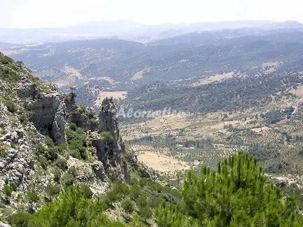 CASA LA TINAJA en GRAZALEMA — miniatura 5