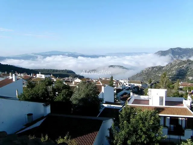 ALOJAMIENTO LOS ALMENDROS 3 en BENAOCAZ — miniatura 6