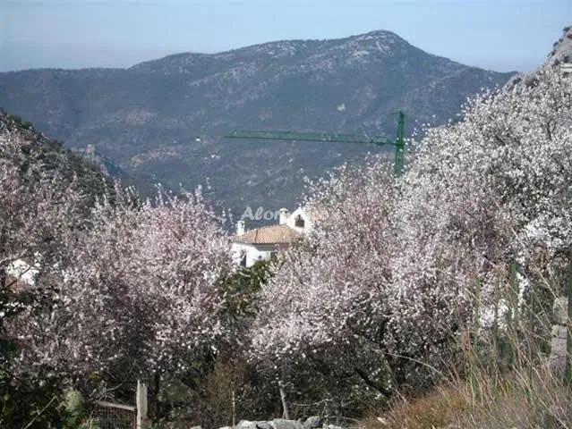 ALOJAMIENTO LOS ALMENDROS 3 en BENAOCAZ — miniatura 9