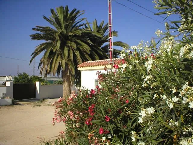 VILLA JUANA en CONIL DE LA FRONTERA — miniatura 8