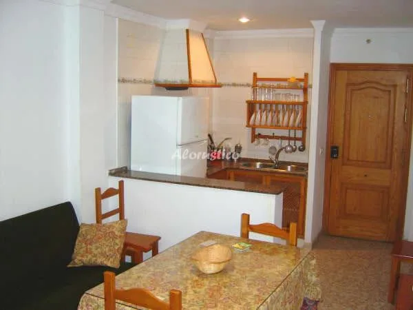 APARTAMENTO BAJO B en CONIL DE LA FRONTERA — miniatura 8