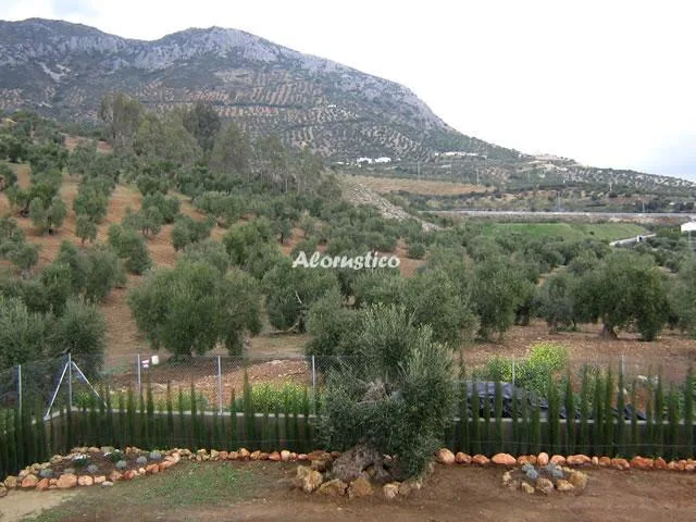 FINCA LA BODEGUILLA en ALGODONALES — miniatura 18