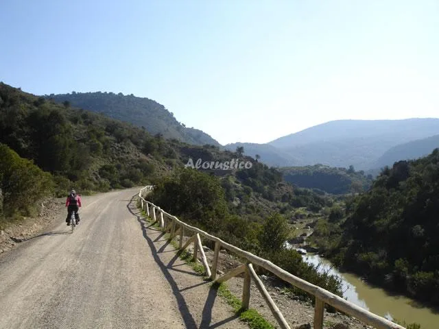 ALOJAMIENTO RURAL EL PRADO en OLVERA — miniatura 8