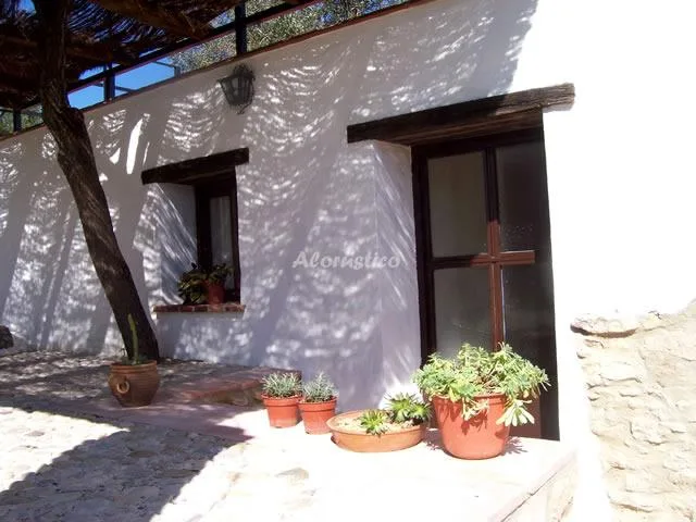 RANCHO TÍO DOMINGO en PRADO DEL REY — foto 2