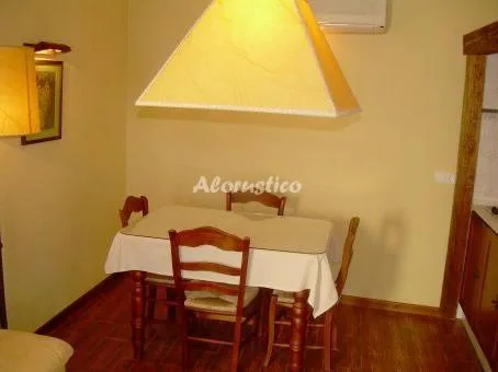 APTO-ESTUDIO RATÓN 1 en CONIL DE LA FRONTERA — miniatura 10