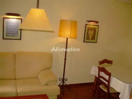 APTO-ESTUDIO RATÓN 1 en CONIL DE LA FRONTERA — foto 3