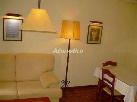 APTO-ESTUDIO RATÓN 1 en CONIL DE LA FRONTERA — foto 3