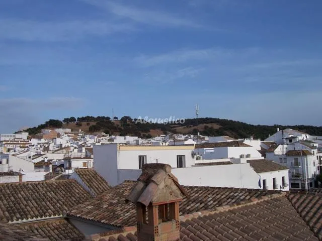 CASA DE ABAJO en PRADO DEL REY — miniatura 9