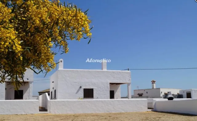 VILLA ALEJANDRO-A (PISCINA PRIVADA) en CONIL DE LA FRONTERA — miniatura 20