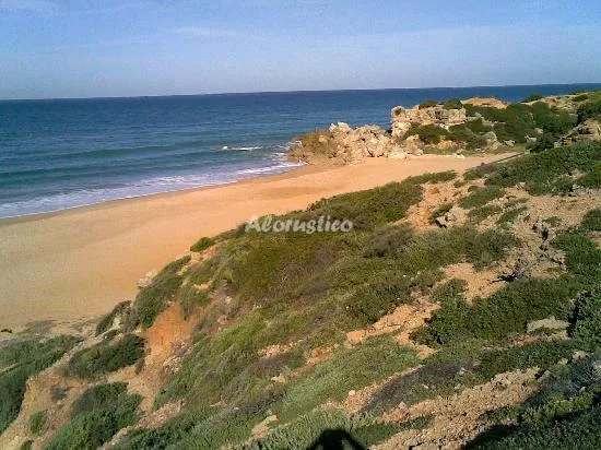 APARTAMENTO MARIOLA 2 en CONIL DE LA FRONTERA — miniatura 9
