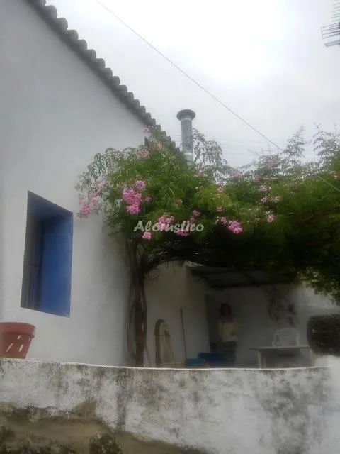 CASA DE LA FUENTE en BENAMAHOMA — foto 2