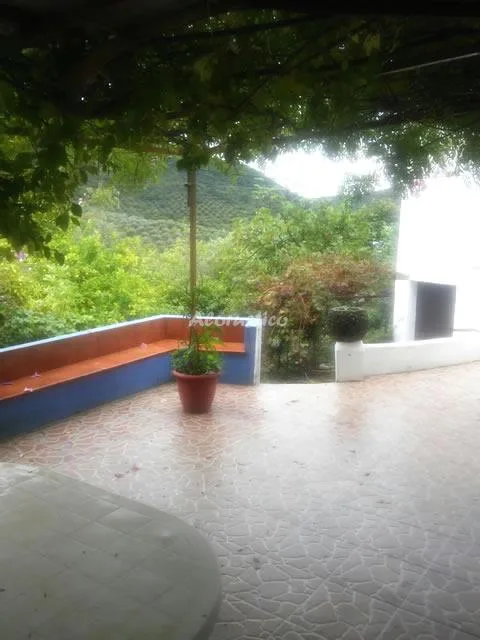 CASA DE LA FUENTE en BENAMAHOMA — miniatura 7