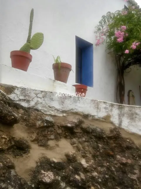 CASA DE LA FUENTE en BENAMAHOMA — miniatura 5