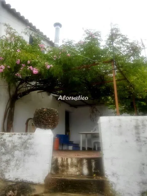 CASA DE LA FUENTE en BENAMAHOMA — miniatura 10