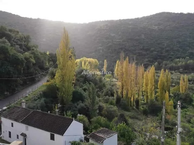 CASA DE LA FUENTE en BENAMAHOMA — miniatura 6