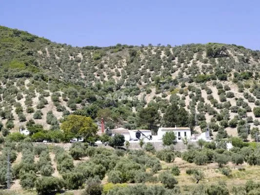 Alojamiento turístico MOLINO EL VÍNCULO - CASA GRANDE en ZAHARA DE LA SIERRA · CÁDIZ