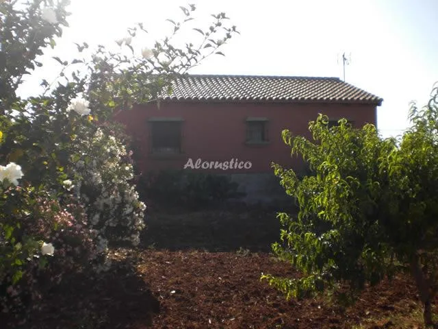 CASA ALEJANDRA en VEJER DE LA FRONTERA — miniatura 10