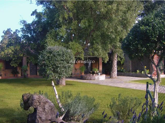 Alojamiento turístico CORTIJO EL MESONERO en JIMENA DE LA FRONTERA · CÁDIZ