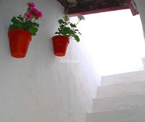 LA CASITA DE VEJER en VEJER DE LA FRONTERA — miniatura 13