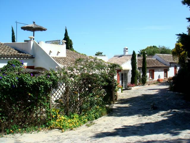 Alojamiento turístico CASA LUNA en PELAYO, CÁDIZ